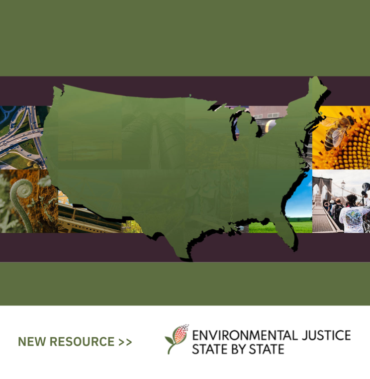 Environmental Justice State by State