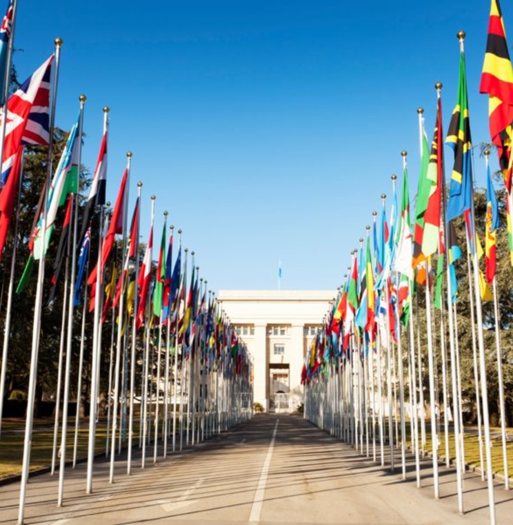 Developing Country Scholarships Announced for IP in the Multilateral System Course