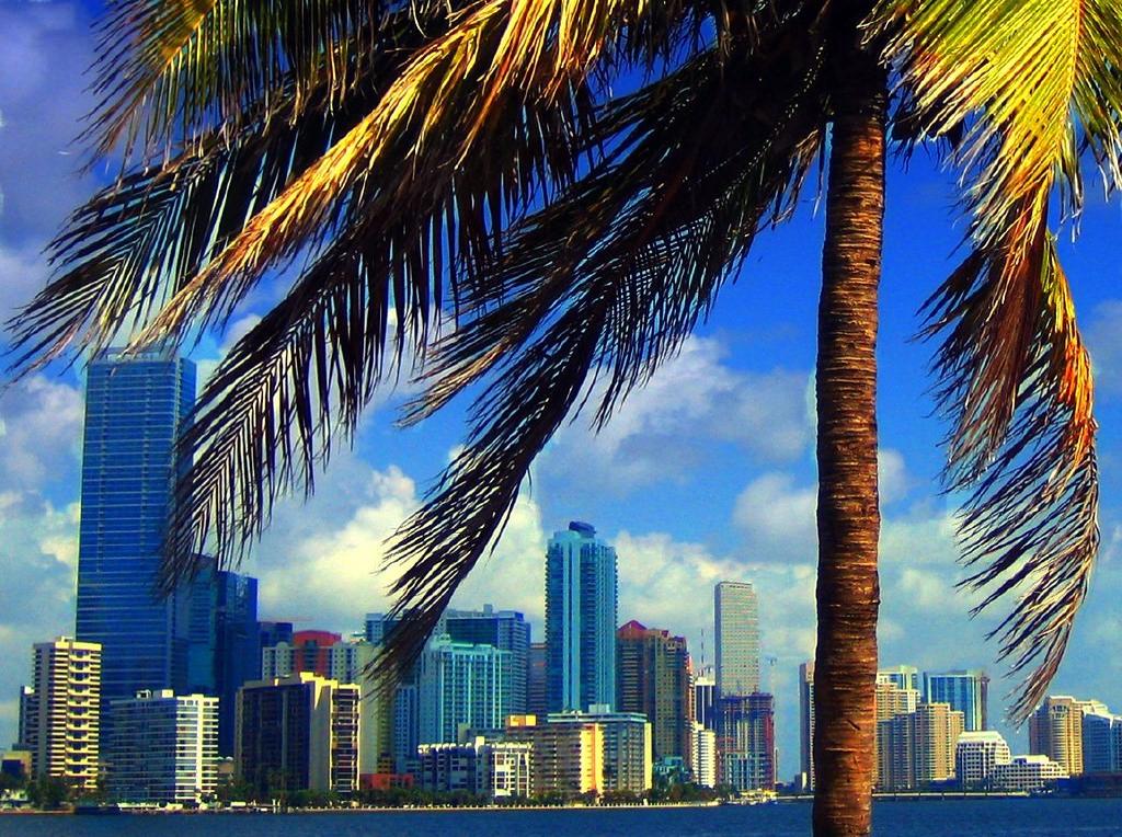 Photo of Miami skyline